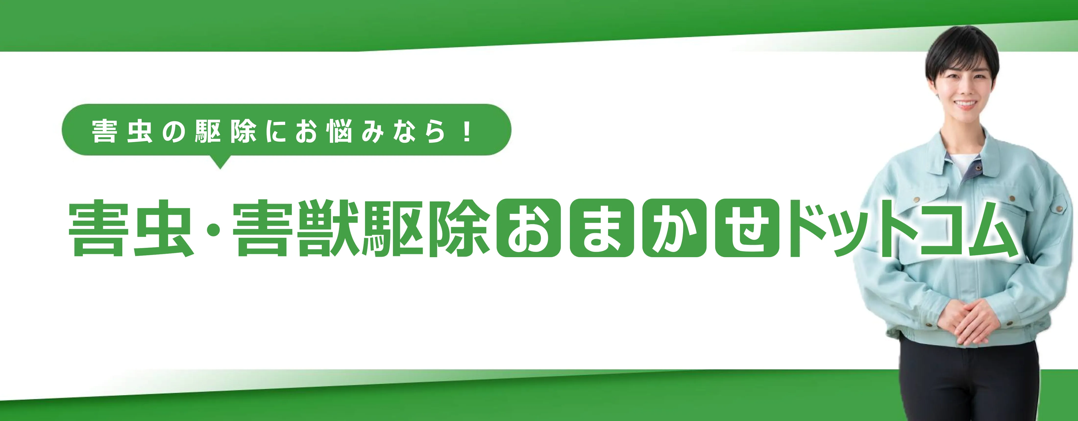 池田市の害虫駆除おすすめ業者３選！選び方と費用相場を徹底解説