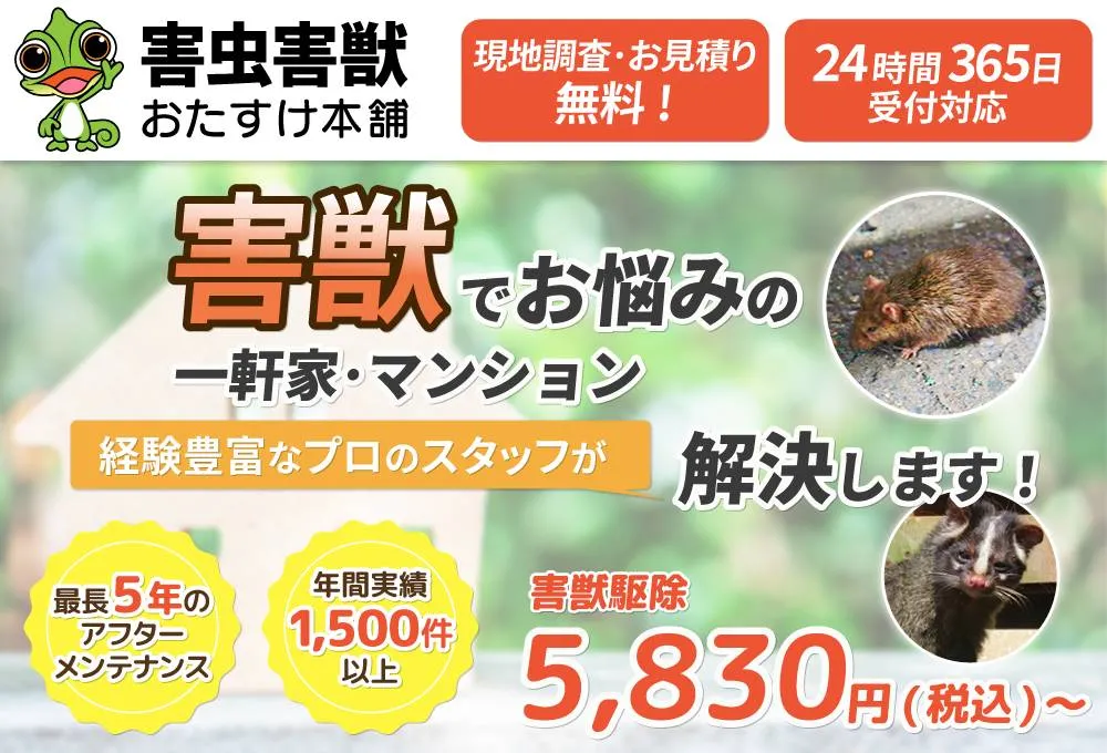 大阪市西成区の害獣駆除おすすめ業者4選！選び方と費用相場を