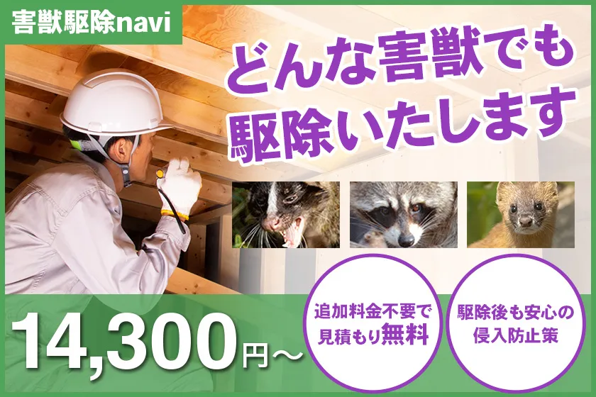 害獣駆除navi