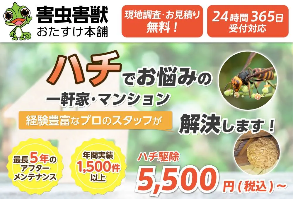 宮崎市のハチ駆除・蜂の巣駆除おすすめ業者5選！選び方と費用相場を