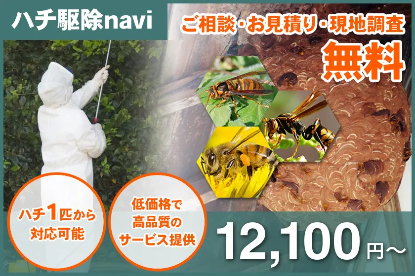ハチ駆除navi