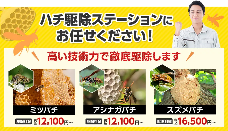 ハチ駆除ステーション