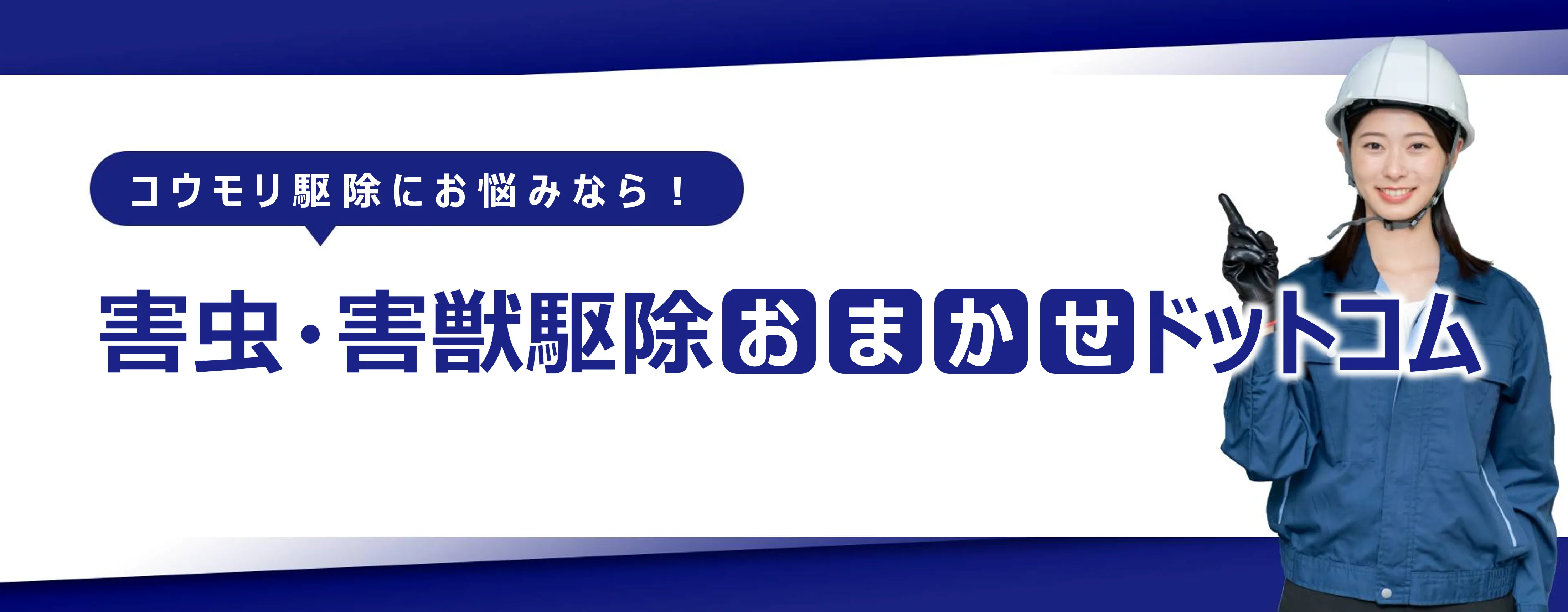 福岡市博多区のコウモリ駆除おすすめ業者５選！選び方と費用相場を徹底解説