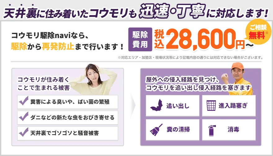 コウモリ駆除隊