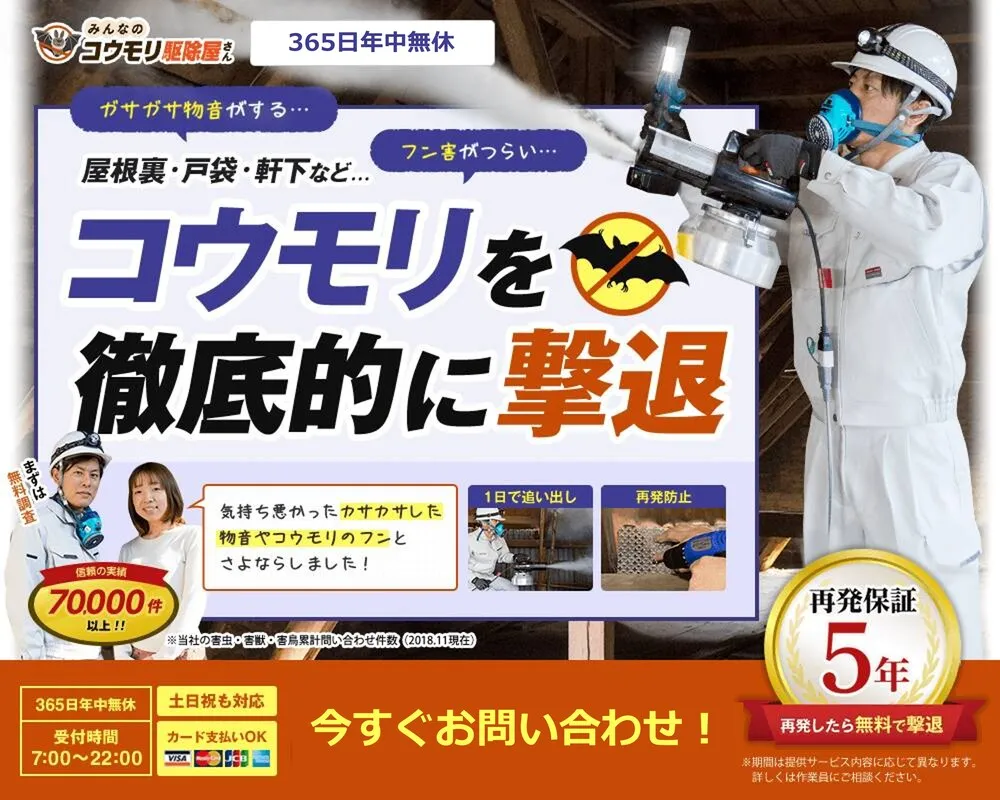 みんなのコウモリ駆除屋さん
