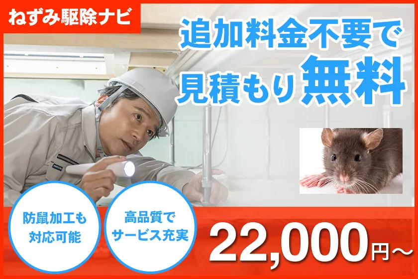 ねずみ駆除隊