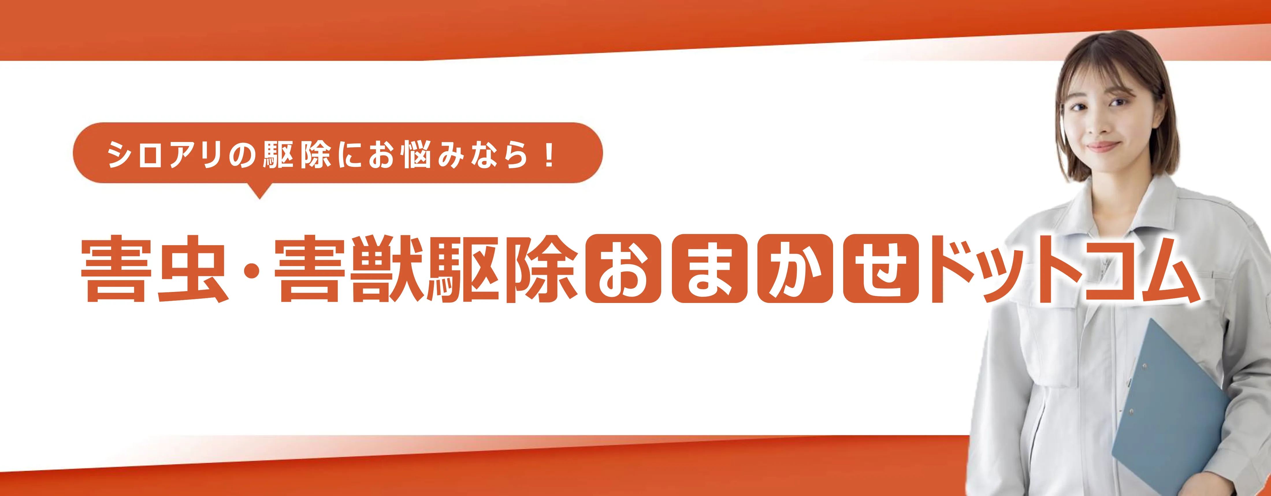西尾市のシロアリ駆除おすすめ業者５選！選び方と費用相場を徹底解説
