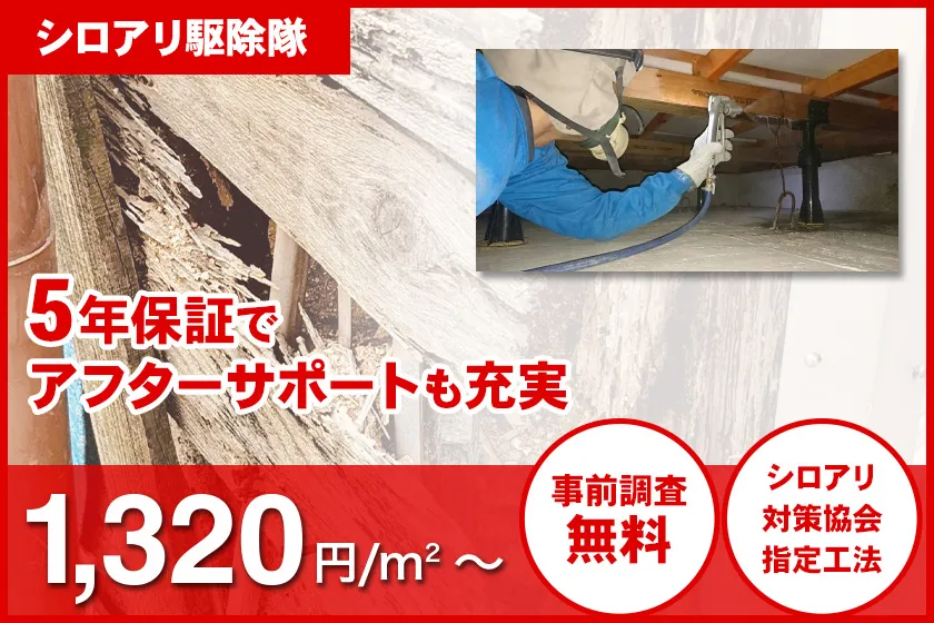 シロアリ駆除隊